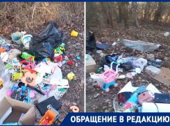 «Если бы поймал - заставил бы кушать»: волгодонец показал несанкционированную свалку за городом