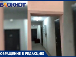 «Дети-сироты никому не нужны: волгодончанка о домах на Лазо