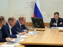 В правительстве Ростовской области модернизировали информационно-аналитическую систему