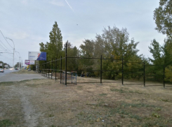 Рощу на Морской вырубят для строительства крупного автосалона «Сокол Моторс», принадлежащего предпринимателю из Ростова 