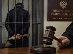 Вооруженному топором отцеубийце из Цимлянского района суд приговорил 10 лет строгого режима 