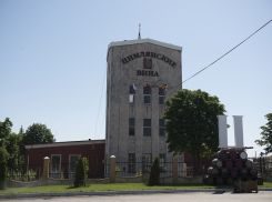 Компания «Цимлянские вина» пока выигрывает суд по делу о некачественном алкоголе