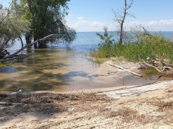 За 5 месяцев падение уровня Цимлянского водохранилища превысило 2 метра