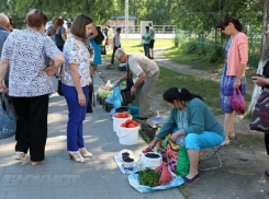 В Волгодонске на 675 тысяч рублей оштрафовали тех, кто торгует в несанкционированных местах