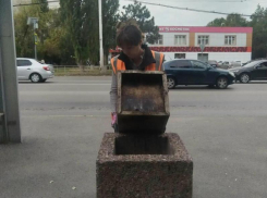 Масштабную зачистку городских урн и прилегающих территорий провели коммунальщики Волгодонска