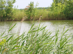 Экологическую тропу вдоль берега Сухой оцифруют 