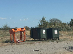 Огромные свалочные очаги на проспекте Лазоревый ликвидировали менее чем за сутки после публикации статьи в «Блокноте»