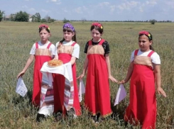 «Цена крошки хлеба»: антоновские школьники отправились в поле на День Донского поля