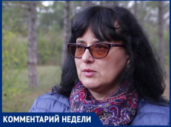 Как правильно и законно собирать валежник в лесах Волгодонска