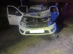 18-летний парень, ехавший с бабушкой и дедушкой, скончался после ДТП с фурой в Зимовниковском районе