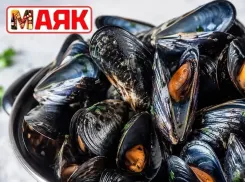 Товар дня: мидии на створке (раковины) за 369, 90₽/кг