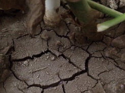 Умываюсь только слезами: Жители посёлка Виноградный изнемогают без питьевой воды