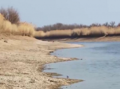 На новый гидроузел на Дону деньги нашлись, а на спасение Цимлянского водохранилища – нет