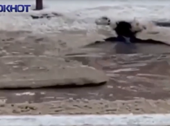 Водоканал Волгодонска отреагировал на жалобу о затоплении канализационными водами улицы Горького