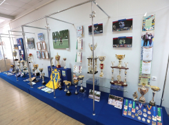 3 миллиона рублей выделит область на проектирование экспозиции  Волгодонского эколого-исторического музея 