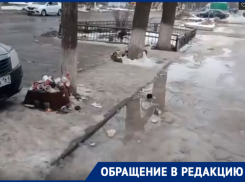  «Противно передвигаться по городу»: замусоренные улицы Волгодонска показали читатели