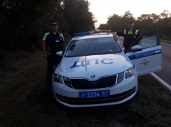 Попавшую в беду на трассе девушку спасли сотрудники ГИБДД Мартыновского района