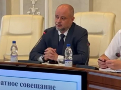 К валке деревьев надо подходить грамотно: Дмитрий Вельможко посоветовал беречь деревья, если их можно спасти