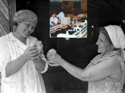 Волгодонск остался без своих яиц из-за ликвидации птицефабрики имени Черникова