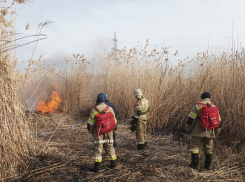 Водоканал стал сжигать тростник на заливе: женщина с палкой приняла  сантехников за поджигателей