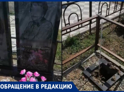  «Жестокие бездушные свиньи»: вандалы похитили дерево с могилы в Волгодонске
