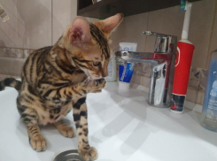 В субботу в новой части города на три часа отключат холодную воду