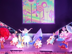 Спектакль «Дюймовочка» открыл театральный фестиваль в Волгодонске 