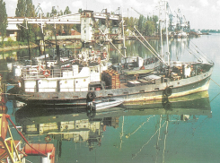 Календарь Волгодонска: 42 года назад официально заработал рыбокомбинат