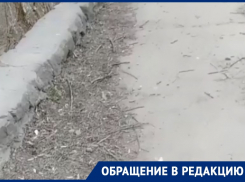 «Люди стоят в грязи»: волгодончанка о временной остановке у вокзала