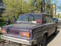 Волгодонские улицы проверили на наличие бесхозяйных автомобилей