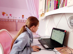 В управлении образования Волгодонска прокомментировали сбои в работе ресурсов для дистанционного обучения 