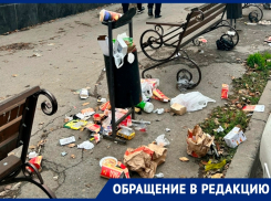 «Тихий ужас»: во что превратилась территория возле торговых объектов на улице 30 лет Победы 
