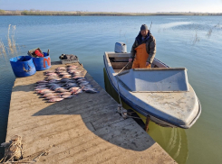 Хитрый браконьер переплыл Цимлянское водохранилище для незаконной добычи рыбы