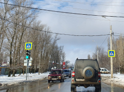 В Волгодонске проверяют, как водители проезжают пешеходные переходы 