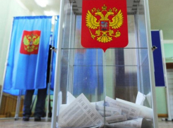 Глава города Виктор Мельников отдал свой голос на выборах 