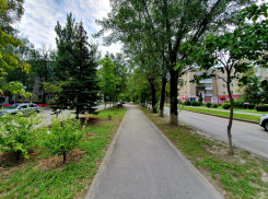 В Волгодонске выкосили траву на территории более 350 тысяч квадратных метров 