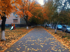 В понедельник в Волгодонске будет пасмурно с прояснениями
