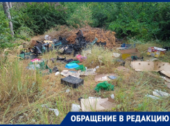 «Ну разве так можно?»: неизвестные вывезли отходы с рынка на территорию дендрария
