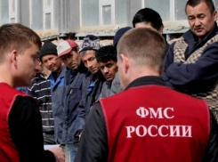 В Ростовской области мигрантов стало больше на 21% – количество преступлений возросло на 15%