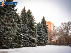 До -3 и ветер до 11 м/с ожидается сегодня в Волгодонске 