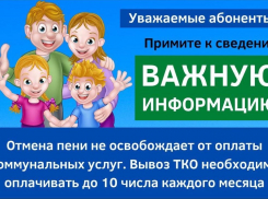 Регоператор ООО «ЭкоЦентр»: отмена пени за вывоз отходов не отменяет оплату самой услуги