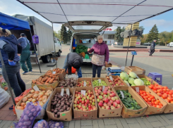 На некачественную плодоовощную продукцию волгодонцы смогут пожаловаться по «горячей линии» 