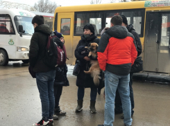 Беженцев из Донбасса могут трудоустроить врачами и учителями в Волгодонске