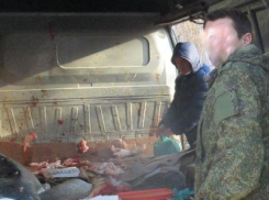 Мясо в грязных машинах и «свинскую» парковку во дворах выявили в Волгодонске инспекторы по городскому порядку