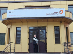 МФЦ в Ростовской области обработали более пяти миллионов обращений подтвердили статус лучших в стране