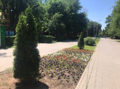 Небольшая облачность и сильные порывы ветра ожидаются сегодня в Волгодонске