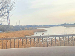 Десятки взрослых и детей вышли на лед Сухо-Соленовского залива в Волгодонске