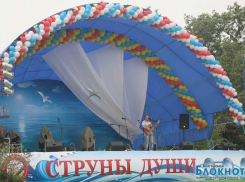 В Романовке на «Струнах души» впервые прогремит музыкальное пиротехническое шоу