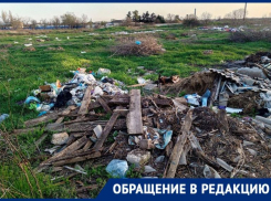 Разлагающиеся животные и вечные пожары: вблизи водонапорной скважины неизвестные создали свалку 