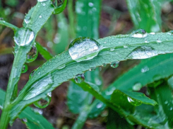  С небольшого дождя начнется последняя неделя июля в Волгодонске